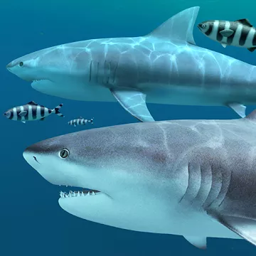 Sharks 3D - Pozadina uživo