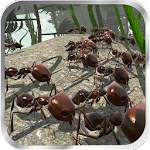 Προσομοίωση μυρμηγκιών 3D