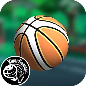 Basketbal online