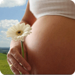 Terhességi naptár