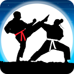 Karate Fighter: Echte fjildslaggen