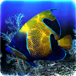 Ikan 3D Saya II