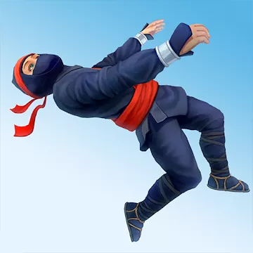 Ninja Flip Kab