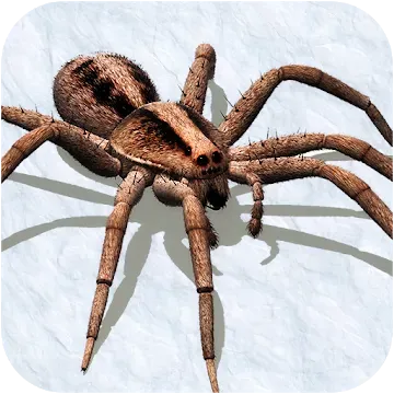Симулятор Spider 2018