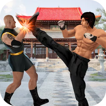Hra Street Champion Heroes: Kung Fu