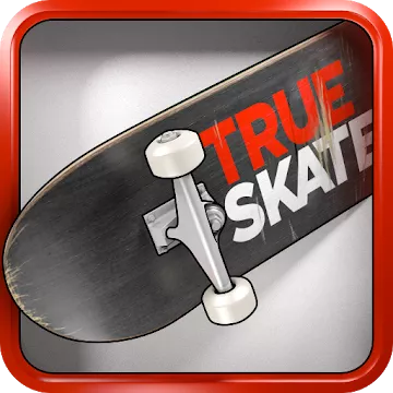 真のスケート