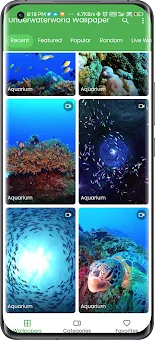 3D Underwater World Wallpaper screenshot