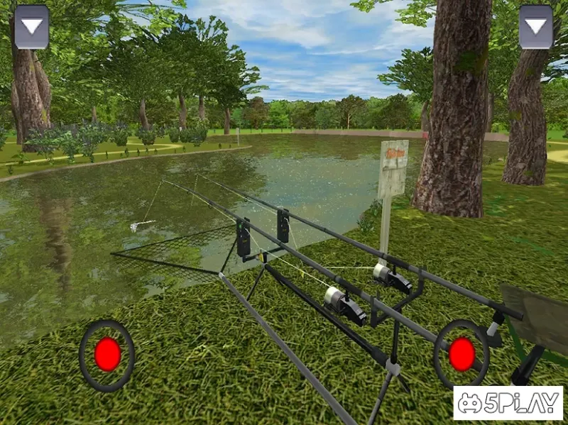 3DCARP screenshot 1