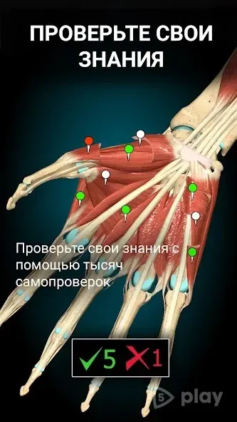 Anatomy Learning - 3D анатомический атлас 2.1.419 screenshot 4