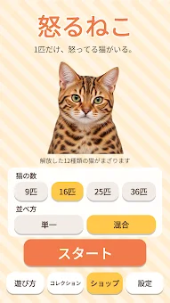 Angry Cat - Party Game screenshot