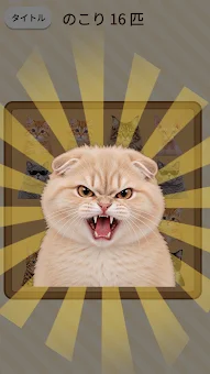 Angry Cat - Party Game screenshot