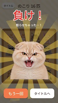 Angry Cat - Party Game screenshot