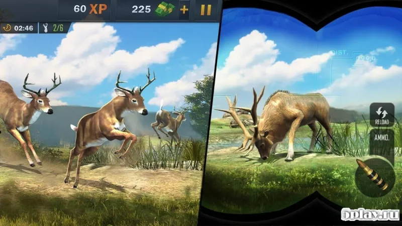 Animal Hunting Sniper Shooting Game 2020 v1.7 screenshot 1