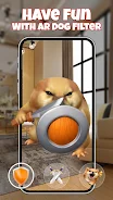 AR Dog: What the dog doing? screenshot