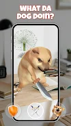 AR Dog: What the dog doing? screenshot