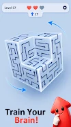 Arrow 3D Puzzle screenshot