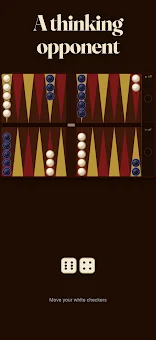 Backgammon Mastermind screenshot