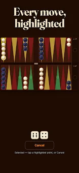 Backgammon Mastermind screenshot