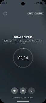 Baseline Stress Reset screenshot