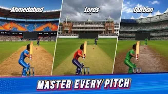 Batting Hero : Cricket Game screenshot