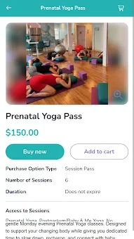 Beyond Birthing screenshot