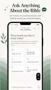 Bible Insight AI screenshot