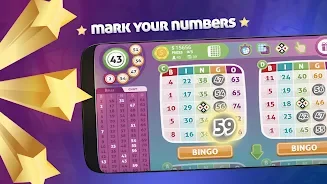 Bingo Online GameVelvet screenshot