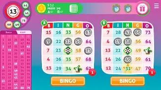 Bingo Online GameVelvet screenshot