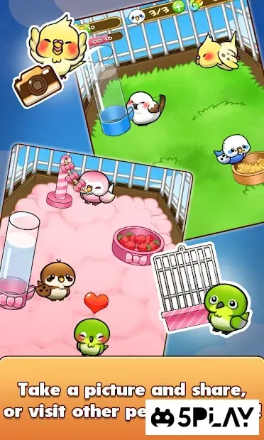 Bird Life -Жизнь птиц- 1.6.9 screenshot 4