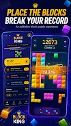 Block King screenshot