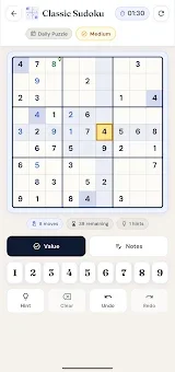 Brainiax Puzzles screenshot