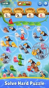 Bubble Bird: Color Match screenshot