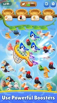 Bubble Bird: Color Match screenshot
