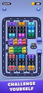 Car Sort: Color Puzzle screenshot