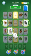 Card Sort: Category Sorting Screenshots 2