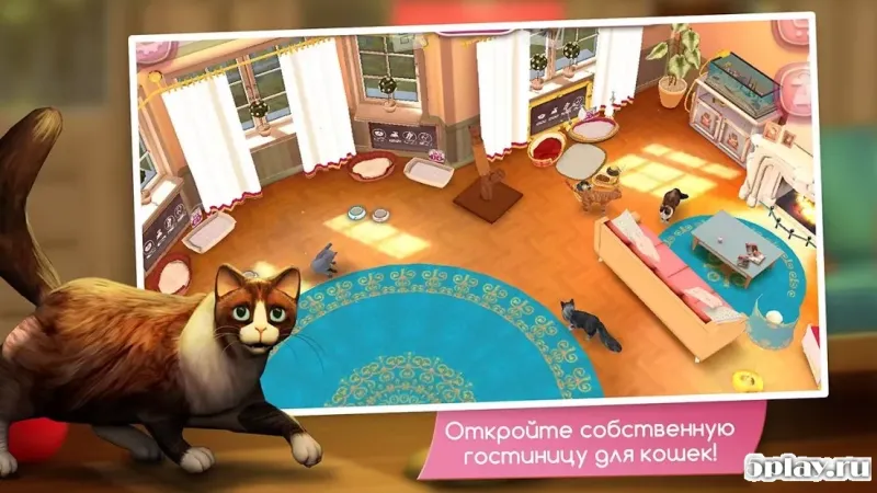 CatHotel - Мой приют для кошек 2.1.10 screenshot 1