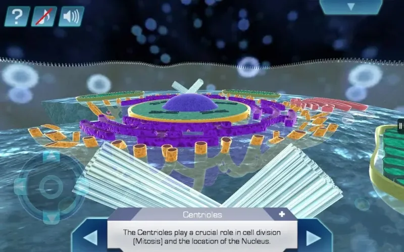 Cell World 1.0 screenshot 4