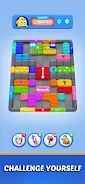 Color Block: Jam Puzzle 3D screenshot
