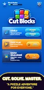 Cut Blocks screenshot