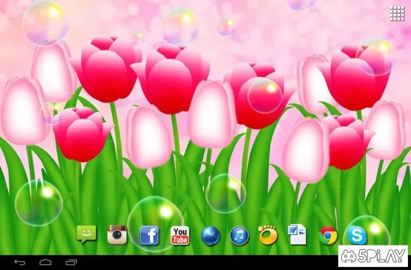 Завантажте квіти тюльпани живі шпалери 1.3 на Android безкоштовно screenshot 1