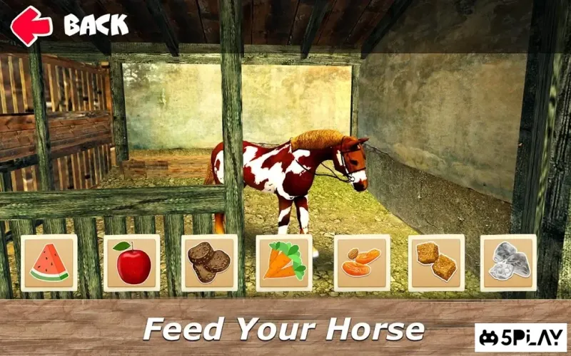 Мой Маленький Табун: Симулятор Ухода за Лошадью 1.4.2 screenshot 1