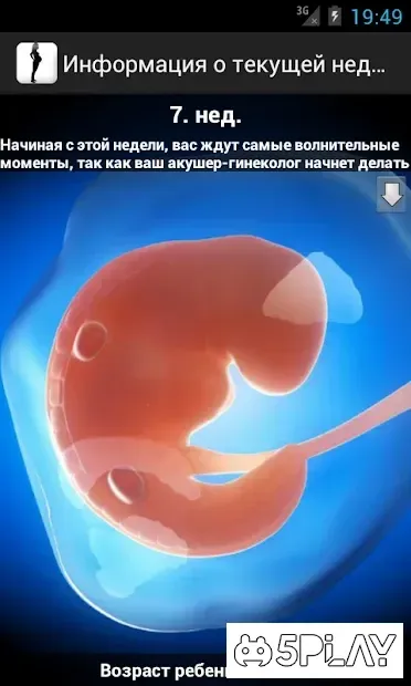 Дневник беременности 2.1.2.3 screenshot 1