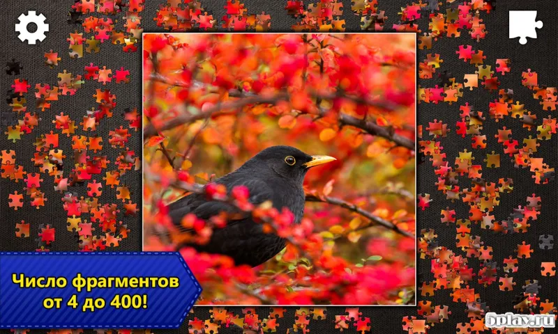 Пазлы Jigsaw Puzzle Pro 2.9.29 screenshot 4