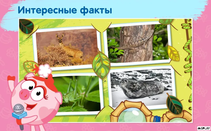 Смешарики - развивающий комикс 2.2.6 screenshot 3