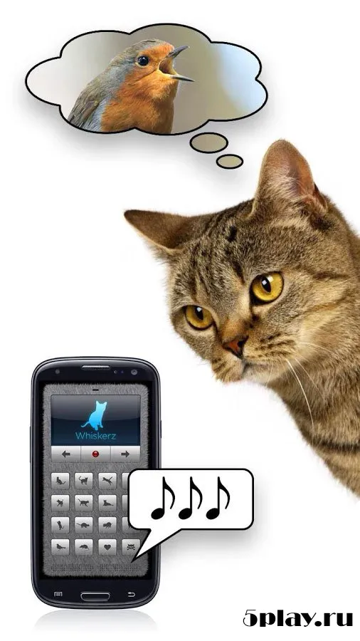 Переводчик на кошачий 1.11 screenshot 3