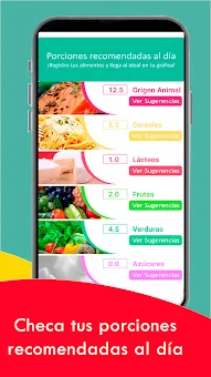 Dieta balanceada y nutrición screenshot