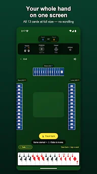 Double Sur: Court Piece Rang screenshot