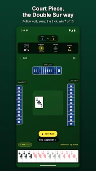 Double Sur: Court Piece Rang screenshot