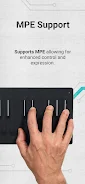 DRC - Polyphonic Synthesizer screenshot