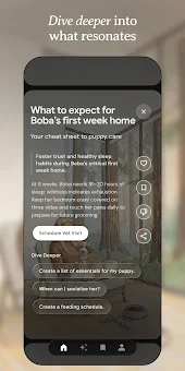 Dreambeans by Google Labs screenshot